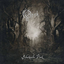 Load image into Gallery viewer, Opeth - Blackwater Park 2LP (25th Anniversary Black &amp; Silver Split)
