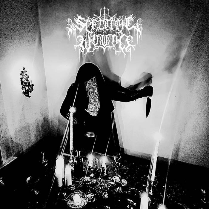 Spectral Wound - Songs Of Blood And Mire LP