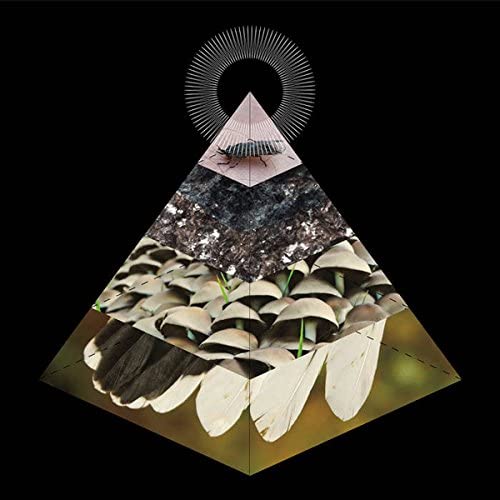 Belus - Apophenia LP