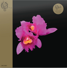 Load image into Gallery viewer, Opeth - Orchid 2LP (Abbey Road Half Speed Remaster)
