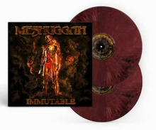 Load image into Gallery viewer, Meshuggah - Immutable 2LP
