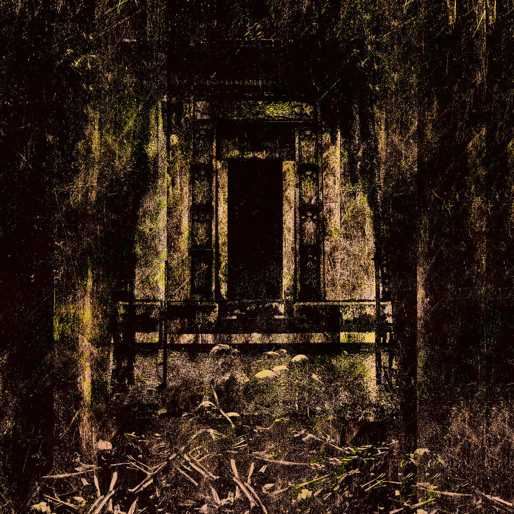 Coffin Lurker - Foul And Defiled LP