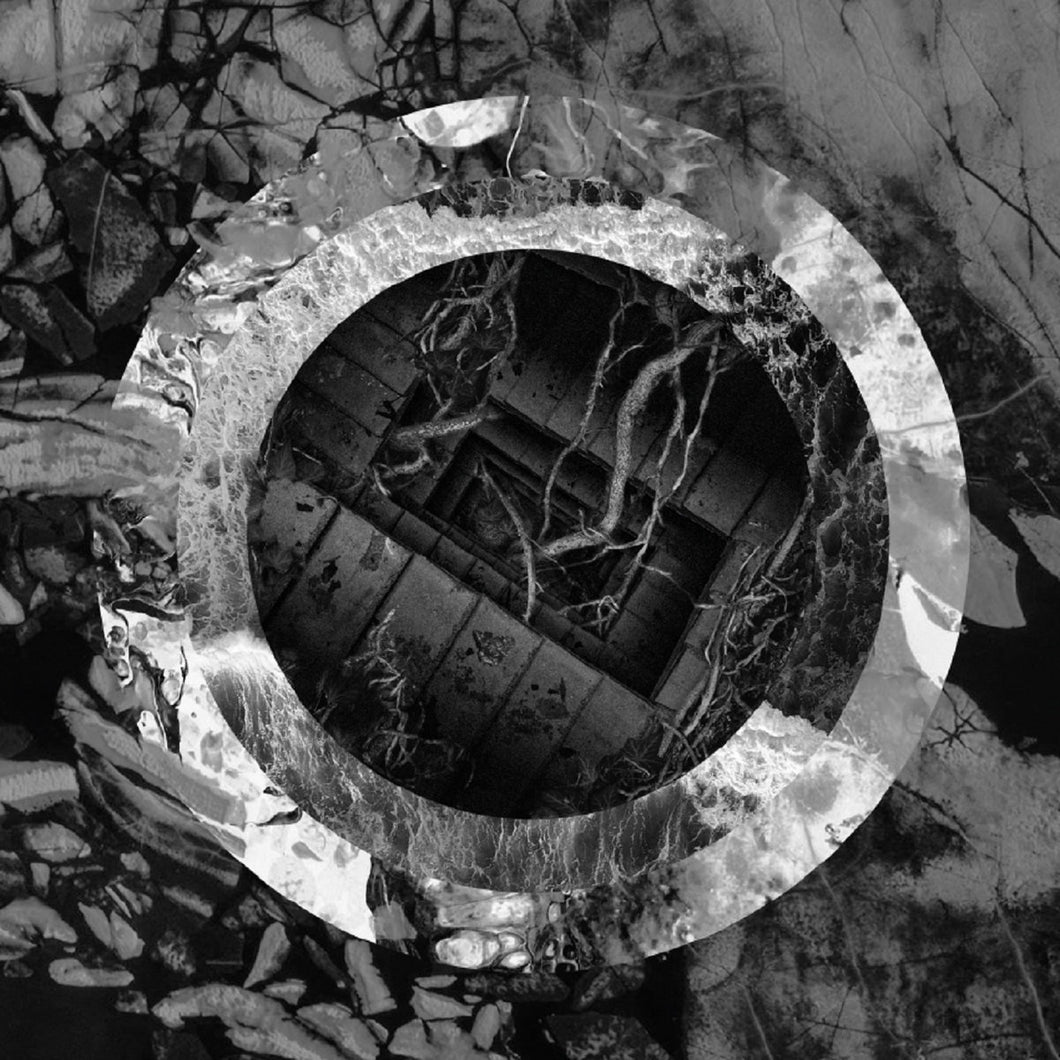 Torpor - Rhetoric Of The Image LP