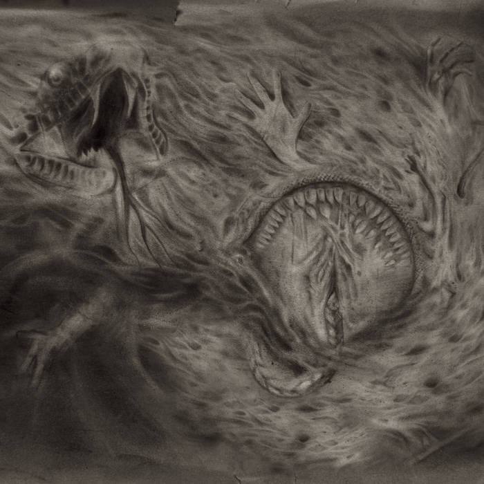 Nidsang - Into The Womb Of Dissolving Flames CD