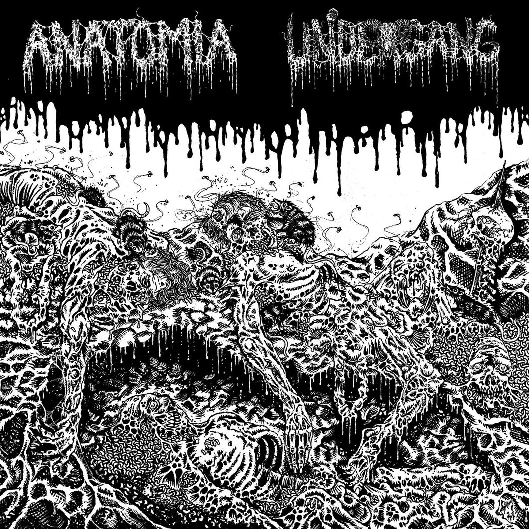Anatomia/Undergang - Split LP