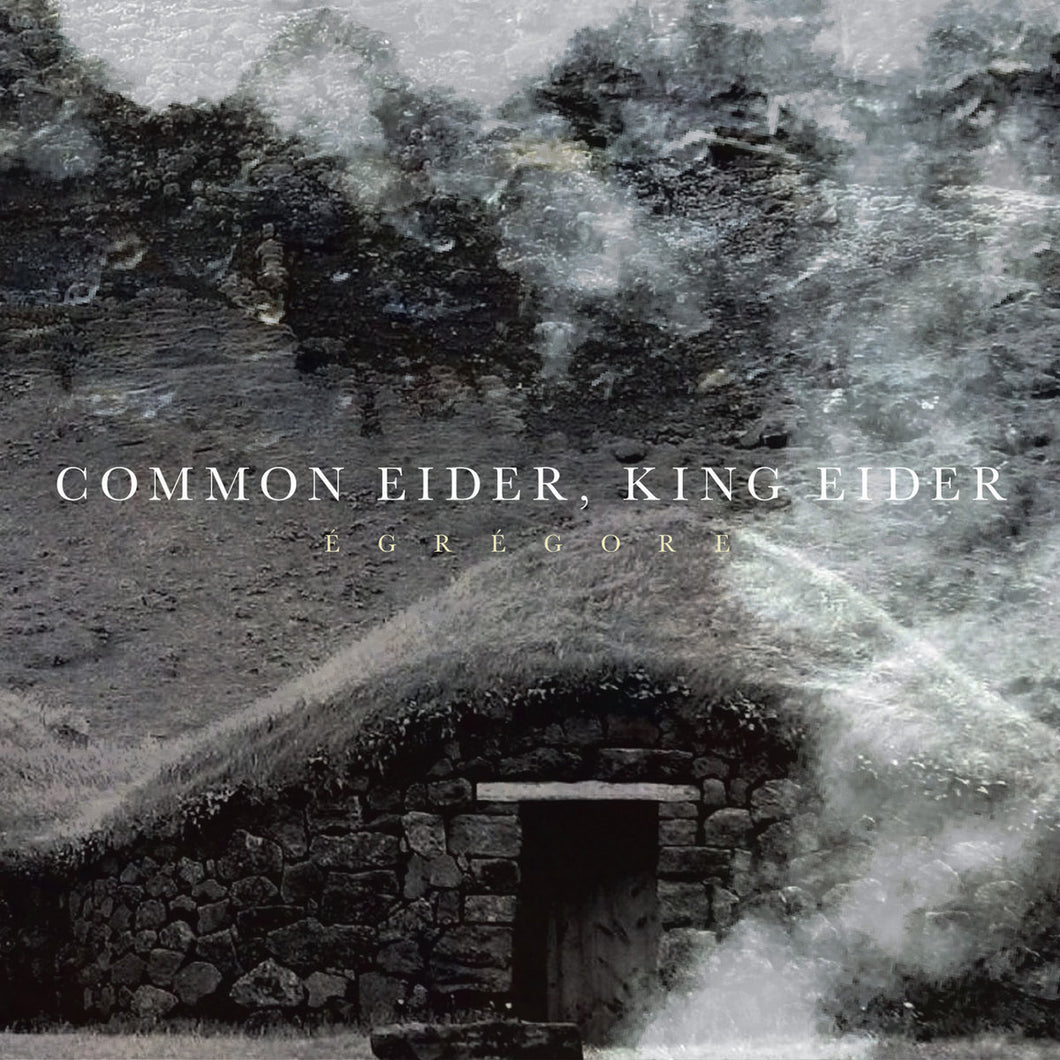 Common Eider, King Eider - Egregore CD