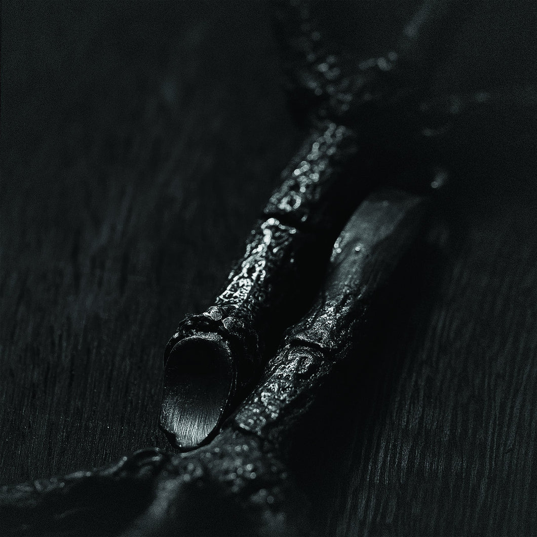 Trepaneringsritualen - Algir, Eller Algir I Merkstave LP