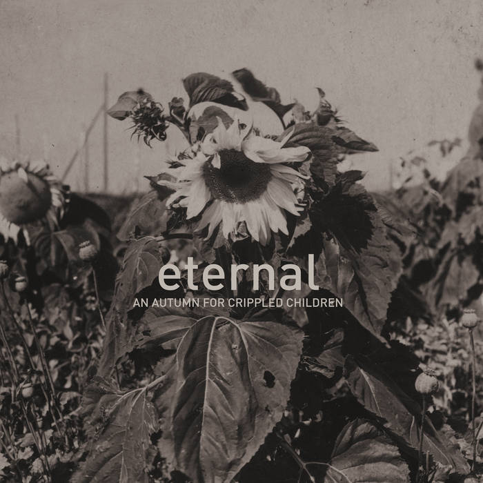 An Autumn For Crippled Children - Eternal LP