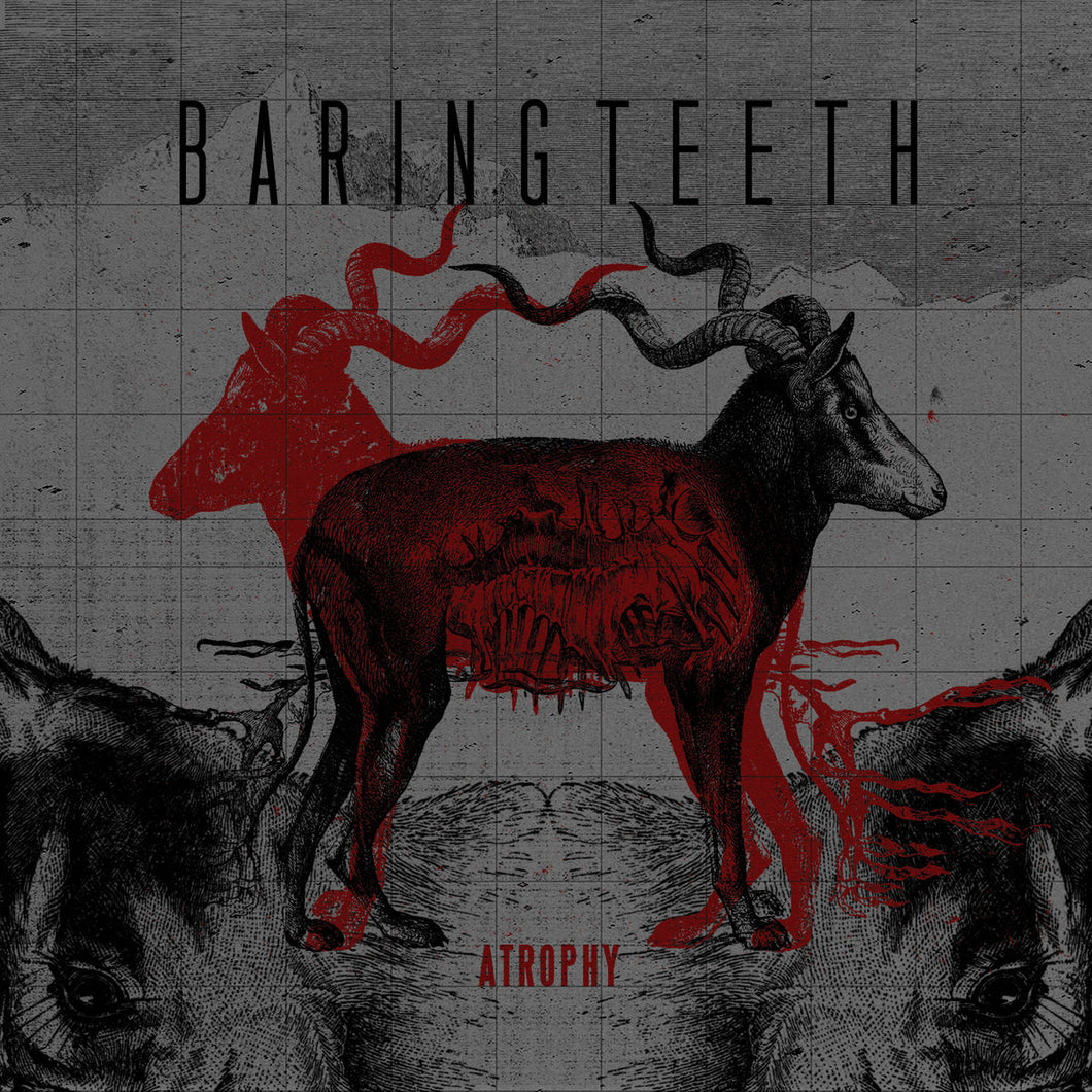 Baring Teeth - Atrophy CD