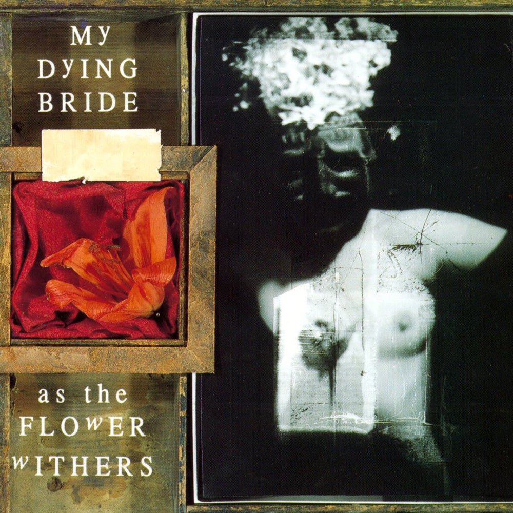 My Dying Bride - As The Flower Withers LP